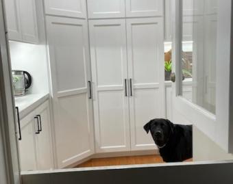 Kitchen White Shaker